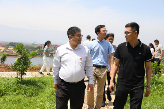 千团联千村 共建促共富—党委副书记卢立明带队